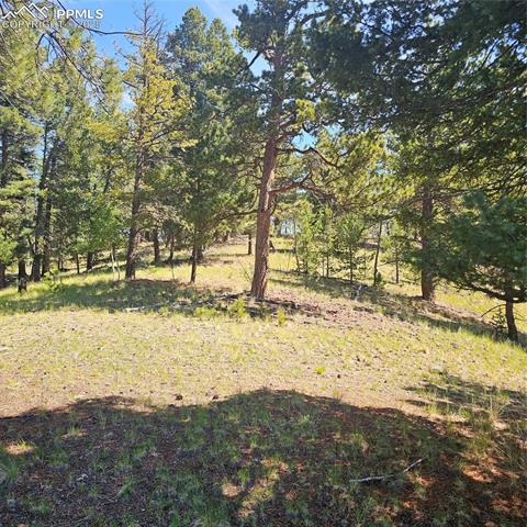 1398 May Queen Drive