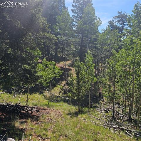 1398 May Queen Drive