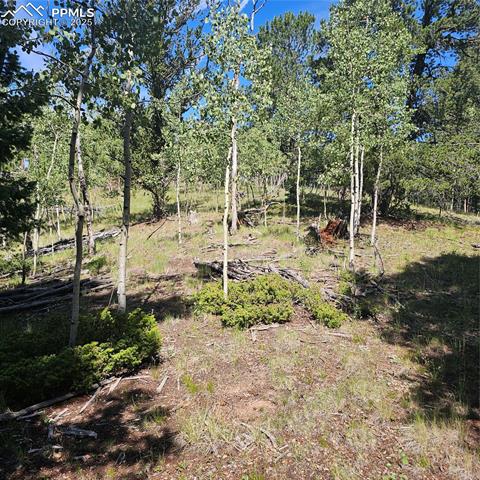 1398 May Queen Drive