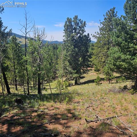 1398 May Queen Drive