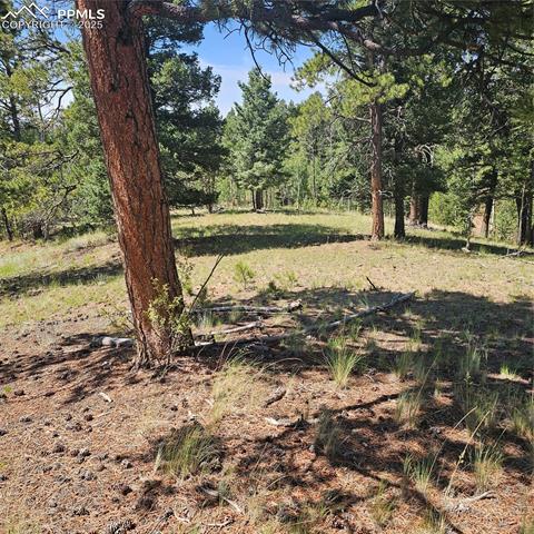 1398 May Queen Drive