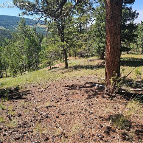 1398 May Queen Drive