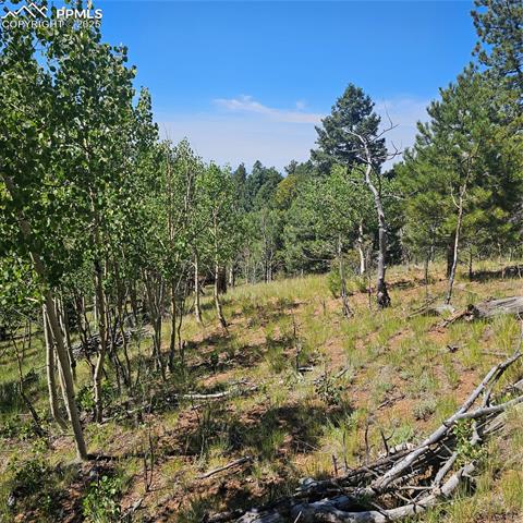 1398 May Queen Drive