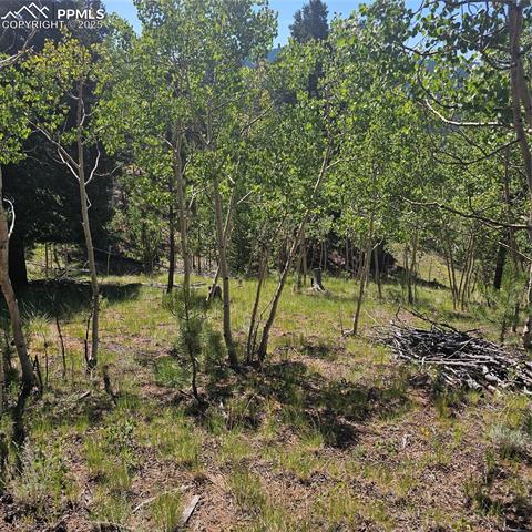 1398 May Queen Drive