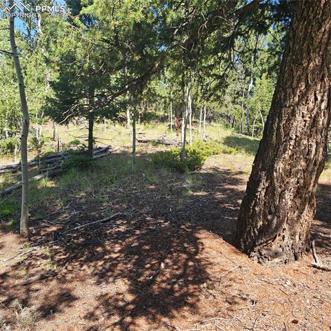 1398 May Queen Drive