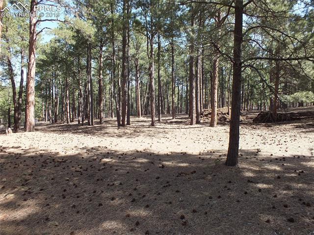 8265 Tannenbaum Road