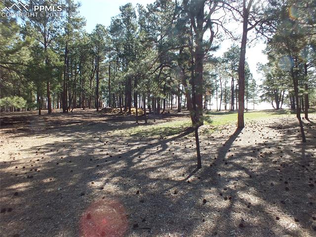 8265 Tannenbaum Road