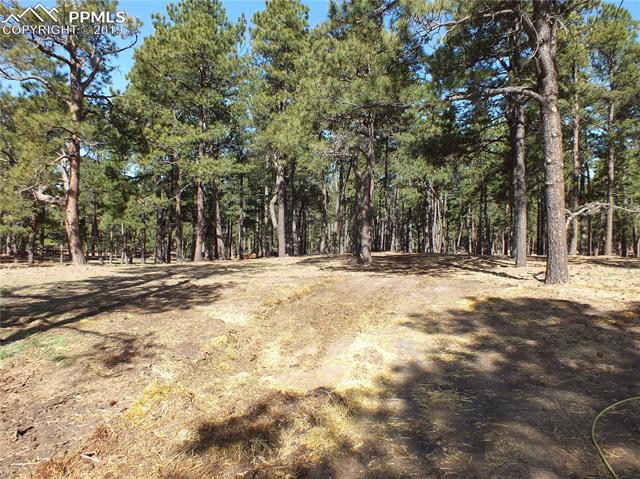 8265 Tannenbaum Road