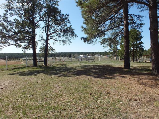 8265 Tannenbaum Road