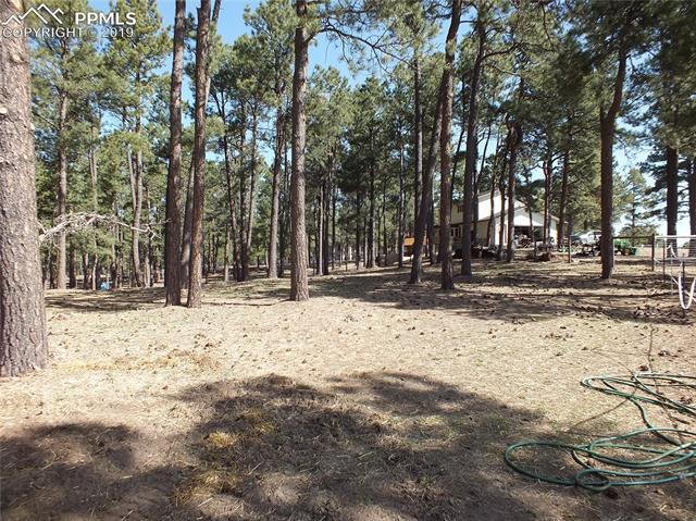 8265 Tannenbaum Road