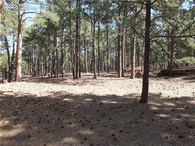 8265 Tannenbaum Road