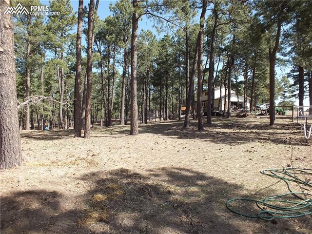 8265 Tannenbaum Road