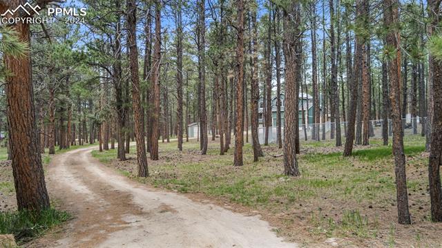 8180 Tannenbaum Road