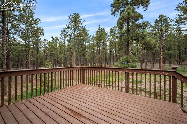 8180 Tannenbaum Road