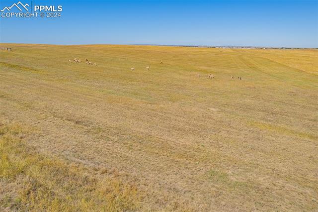 8150 Cowboy Ranch View