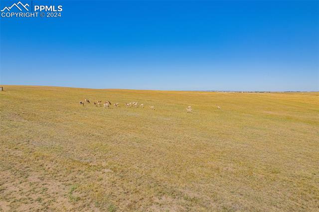 8150 Cowboy Ranch View