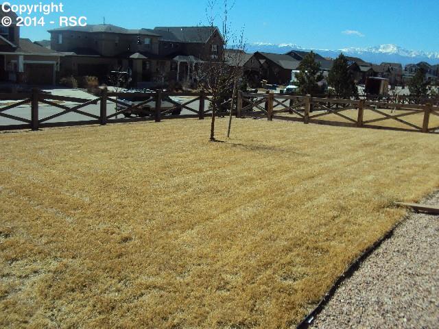 8057 Buckeye Tree Lane