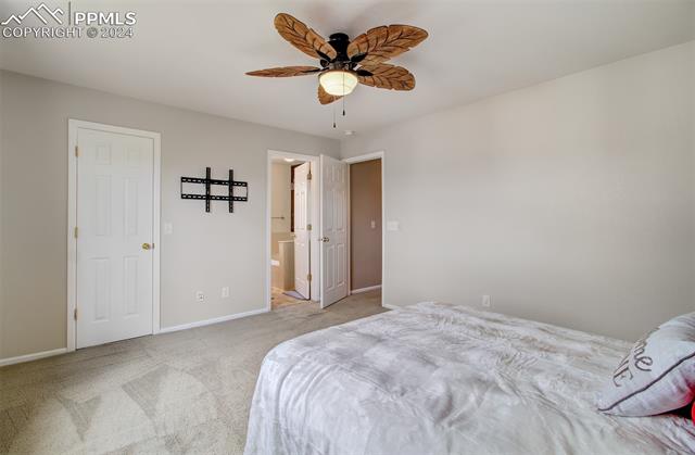 3856 Springs Ranch Drive