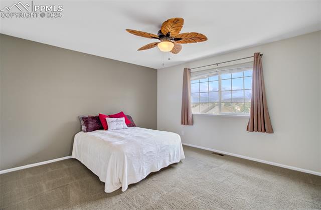 3856 Springs Ranch Drive