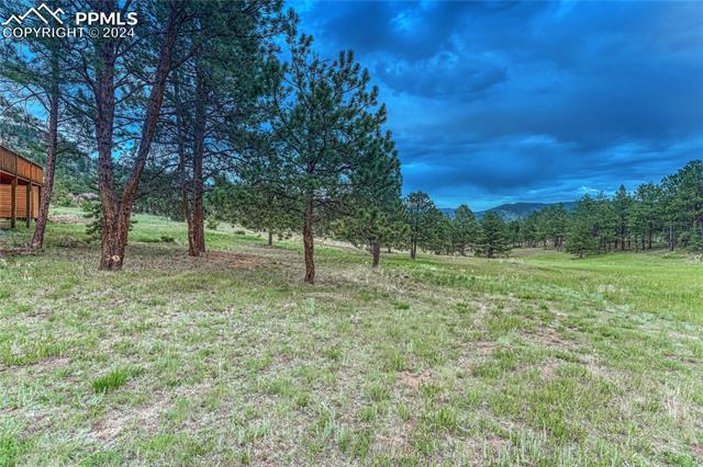 1441 High Chateau Road