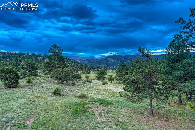 1441 High Chateau Road