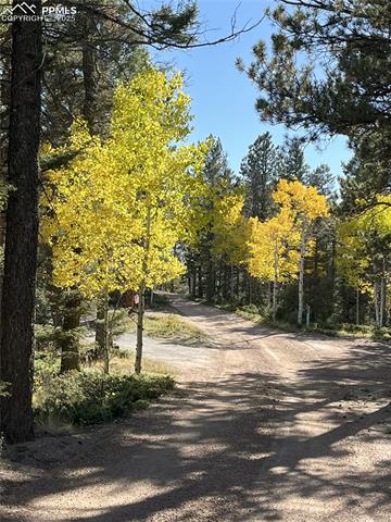 4261 County Road 51