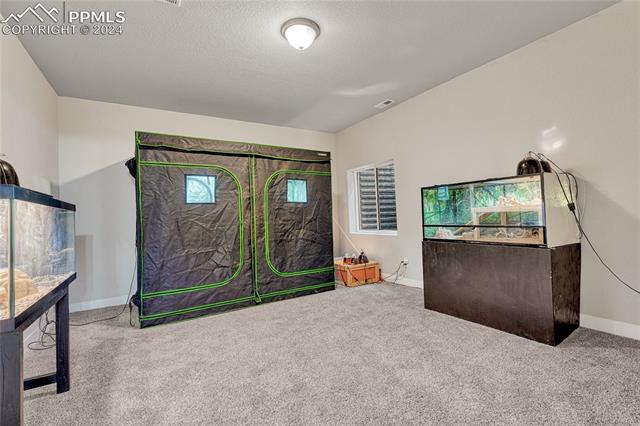 7920 Callendale Drive