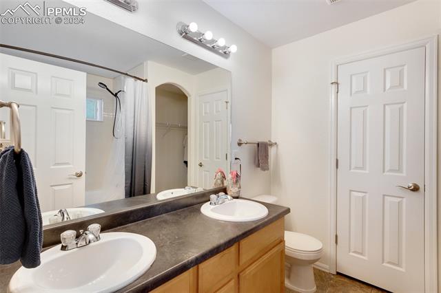 6949 Red Cardinal Loop