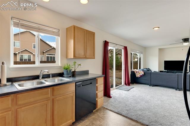 6949 Red Cardinal Loop