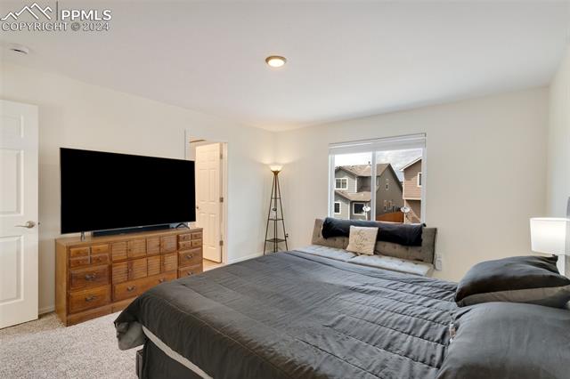 6949 Red Cardinal Loop