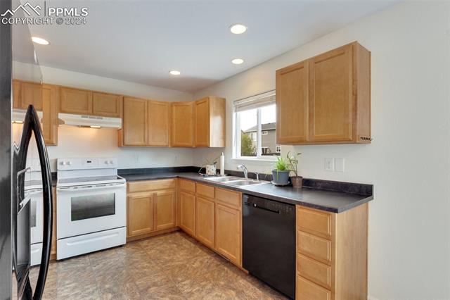 6949 Red Cardinal Loop