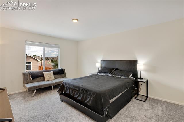 6949 Red Cardinal Loop