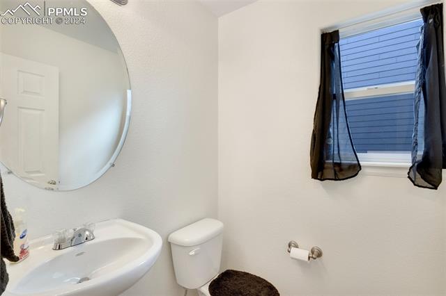 6949 Red Cardinal Loop