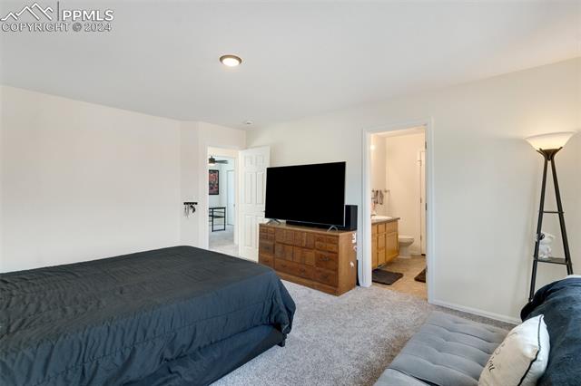 6949 Red Cardinal Loop