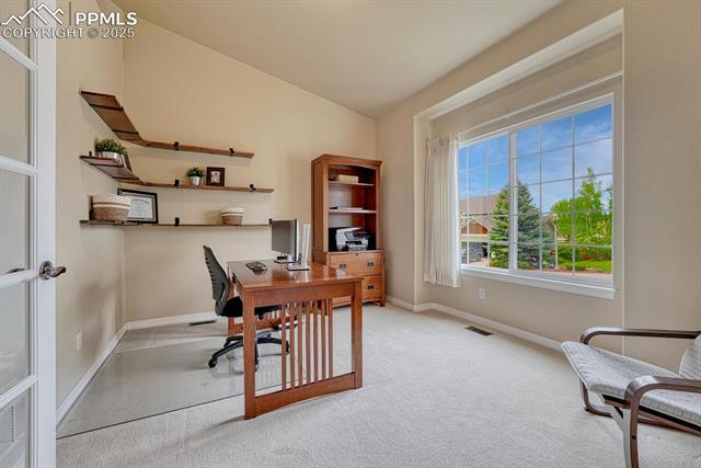 261 Saber Creek Drive