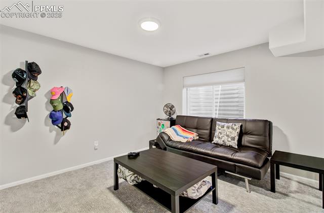 8371 James Creek Drive