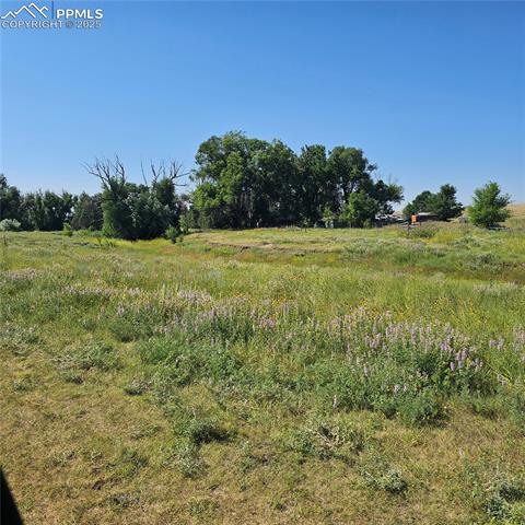 14120 Highway 94