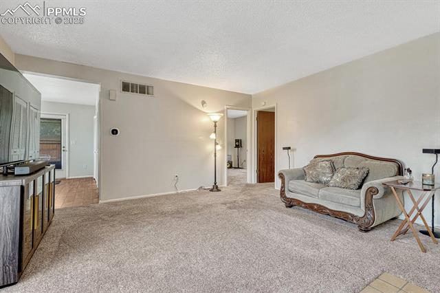 5720 Trout Creek Pass Drive