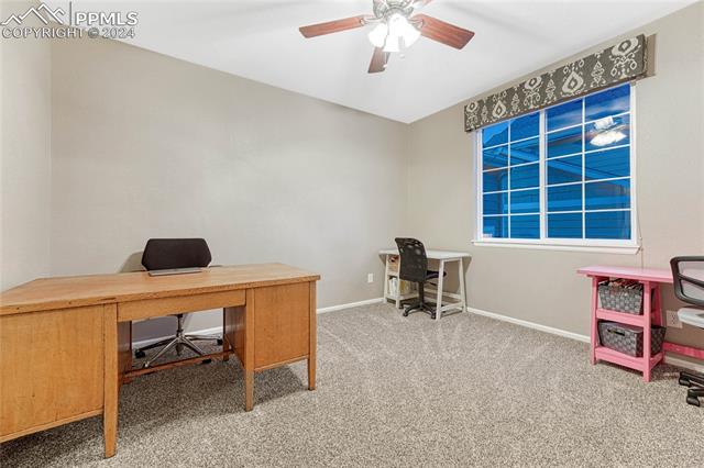 2050 Wagon Gap Trail