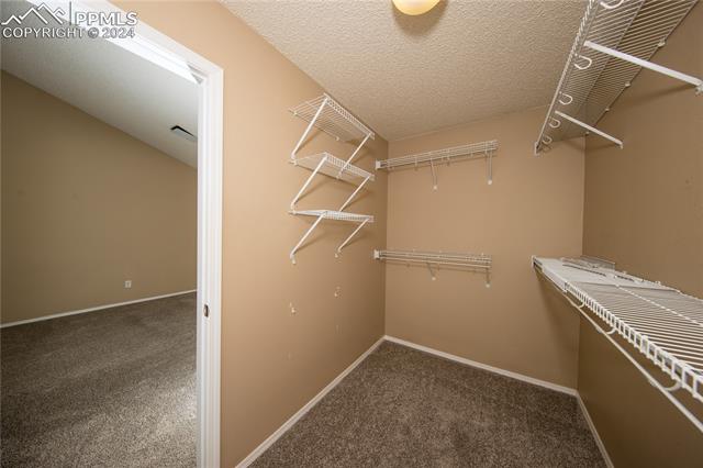 5495 Pioneer Mesa Drive