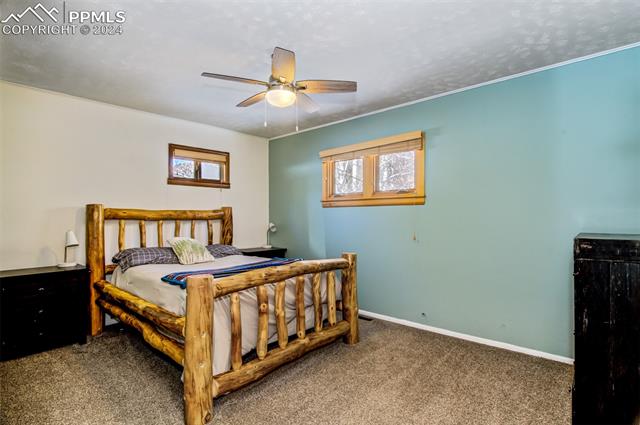 8660 Chipita Park Road