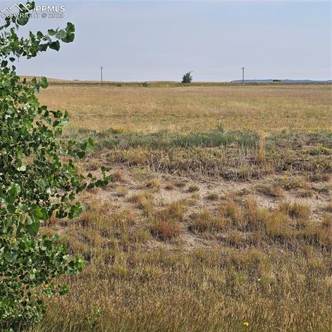 16094 E McCara Court