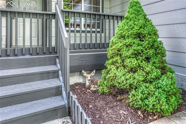 1465 Owl Ridge Drive