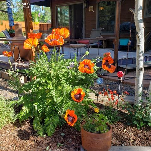 935 Cheyenne Boulevard