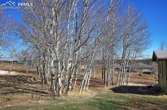 215 Will Scarlet Drive