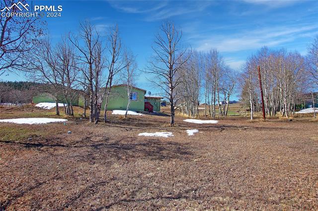 215 Will Scarlet Drive