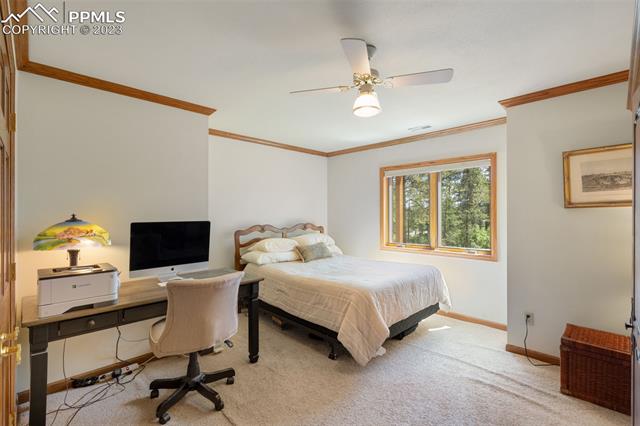 1675 Oakwood Drive