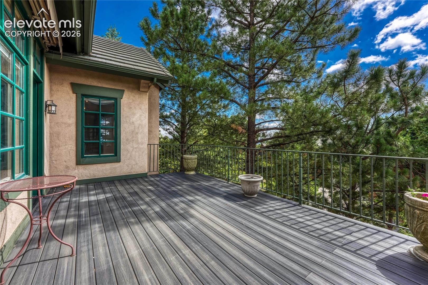 828 Mont Blanc View