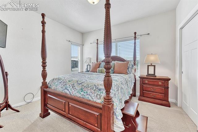 6284 Mount Ouray Drive
