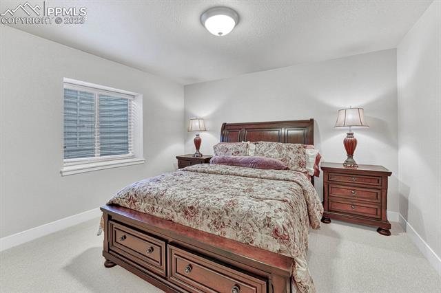 6284 Mount Ouray Drive